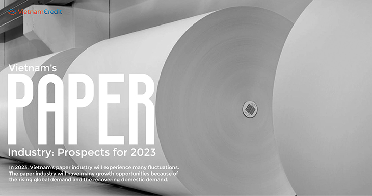 Vietnam’s paper industry: Prospects for 2023